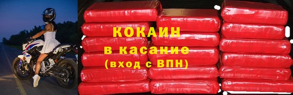 2c-b Новозыбков