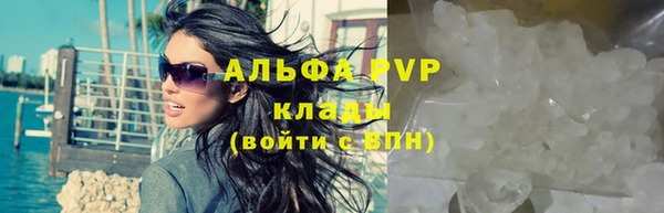 a pvp Новодвинск