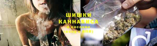 2c-b Новозыбков