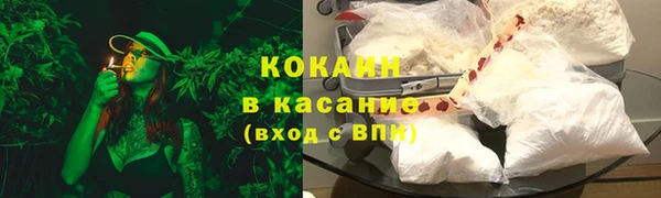 2c-b Новозыбков