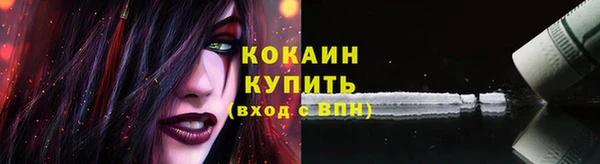 2c-b Новозыбков