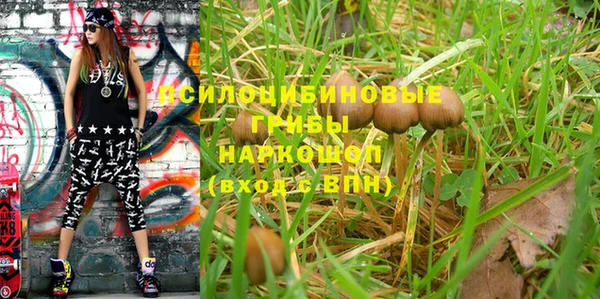 2c-b Новозыбков