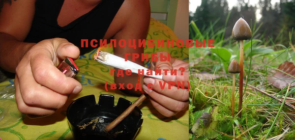 2c-b Новозыбков